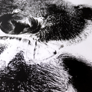 Close up